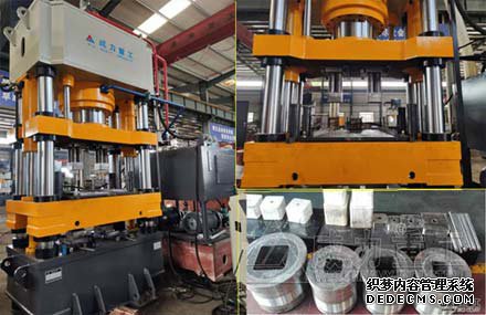 一模多出舔鹽壓塊機(牛羊舔磚成型液壓機)